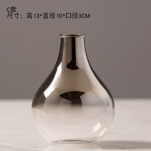 Load image into Gallery viewer, O.Roselif Brand Nordic Flower Glass Vase Creative Silver Gradient Dried Insert Desktop Terrarium Jewelry Decoration Plant Holder
