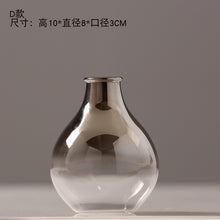 Load image into Gallery viewer, O.Roselif Brand Nordic Flower Glass Vase Creative Silver Gradient Dried Insert Desktop Terrarium Jewelry Decoration Plant Holder
