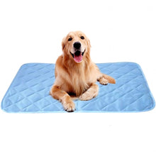 Load image into Gallery viewer, 2019 New Summer Dog Mat Ice Pad 100*70CM Large Size Ice Silk Cool Pet Beds Sofa Cushion Fit All Pet Puppy Cat Summer Cooling Mat
