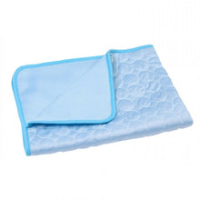 Load image into Gallery viewer, 2019 New Summer Dog Mat Ice Pad 100*70CM Large Size Ice Silk Cool Pet Beds Sofa Cushion Fit All Pet Puppy Cat Summer Cooling Mat
