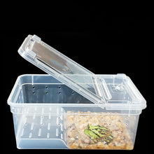 Load image into Gallery viewer, Terrarium for reptiles Transparent Plastic Box Insect Reptile Transport Breeding Live Food Feeding Box turtle tank reptile lamp
