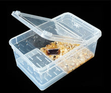 Load image into Gallery viewer, Terrarium for reptiles Transparent Plastic Box Insect Reptile Transport Breeding Live Food Feeding Box turtle tank reptile lamp
