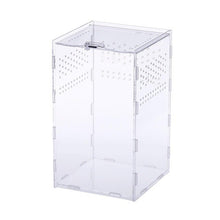 Load image into Gallery viewer, Transparent Acrylic Reptile Feeding Box Insect Box Praying Lizard Reptile Home Insect Cage Reptile Terrarium Spider Breeding Box
